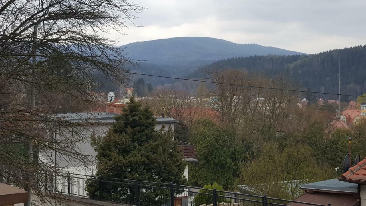 Apartament Z Widokiem-Blizej Zdroju Polanica-Zdrój Eksteriør billede