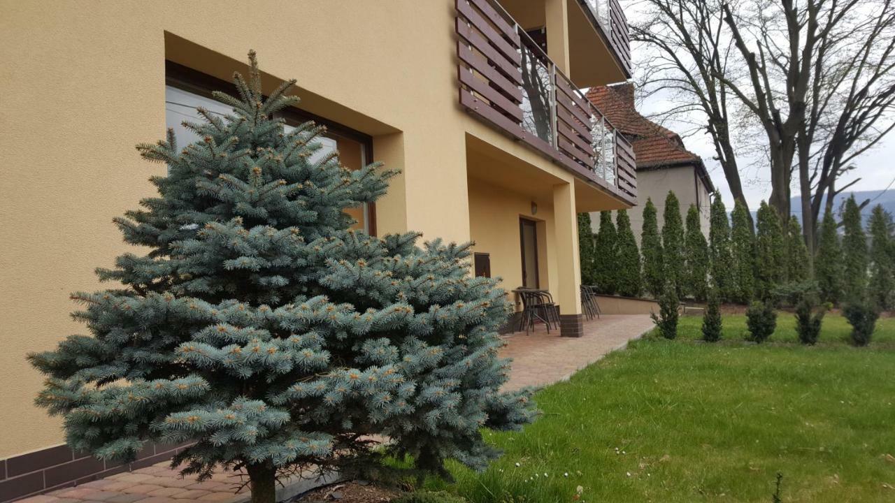 Apartament Z Widokiem-Blizej Zdroju Polanica-Zdrój Eksteriør billede